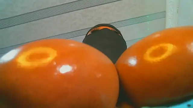 XPanther 24 online show from February 2025 12:46:02 PM