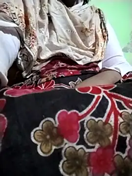 Shapla 1 online show from January 2026 03:14:02 PM