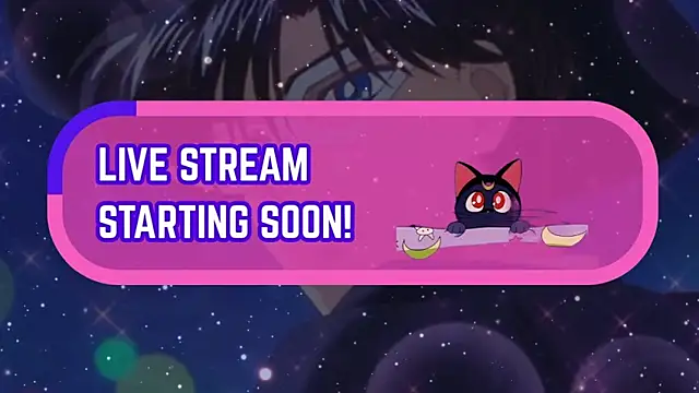 Snapshot of tuxedomasc_95 chatting on December 2025 12:05:01 AM tuxedomasc 95 online show from December 2025 12:05:01 AM