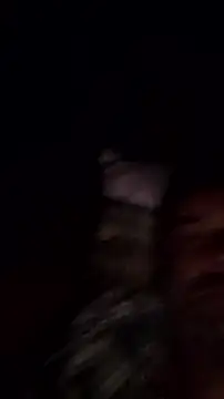 Gianlucazeis online show from June 2026 02:58:01 AM