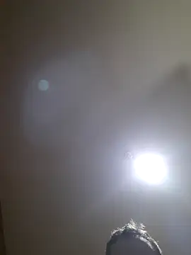 Colorao4 online show from October 2025 10:35:02 AM