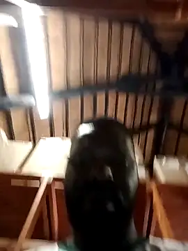 Snapshot of Touch_mysoul chatting on October 2025 08:09:01 AM Touch mysoul online show from October 2025 08:09:01 AM