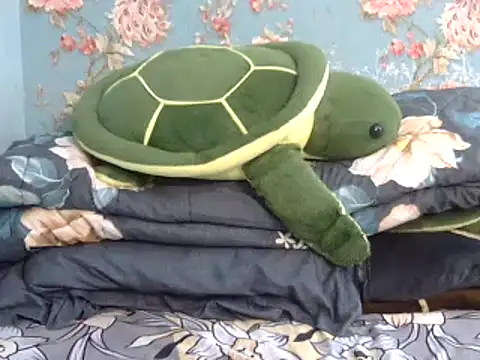 Tiny lusty online show from March 2025 06:41:02 PM