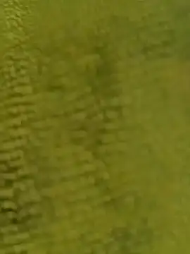 sadunt online show from December 2025 09:26:01 AM