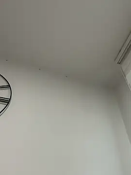 derFickerali online show from December 2024 11:29:01 AM