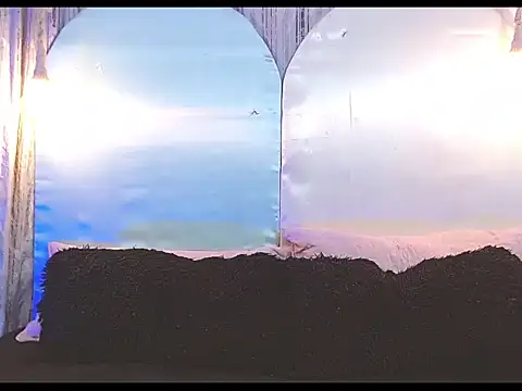 tylor boy online show from January 2026 06:05:01 AM