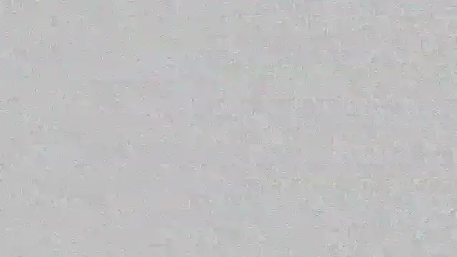 mara jackson  online show from March 2025 11:00:02 PM