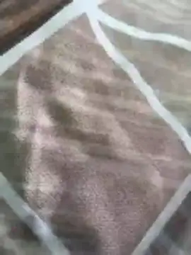 rohitlov150 online show from March 2026 10:19:02 AM