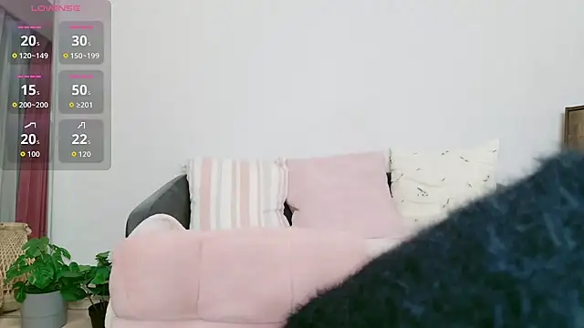 cohaku 329 online show from January 2026 11:14:02 AM