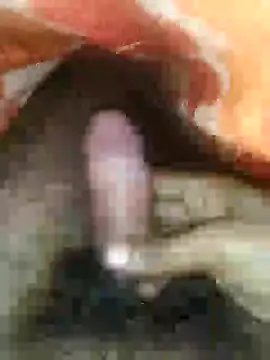 cjonybab online show from January 2025 02:29:02 AM