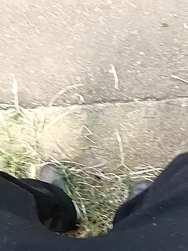 C vas  online show from December 2024 12:02:01 PM