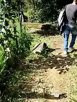 C vas  online show from March 2025 08:32:02 PM