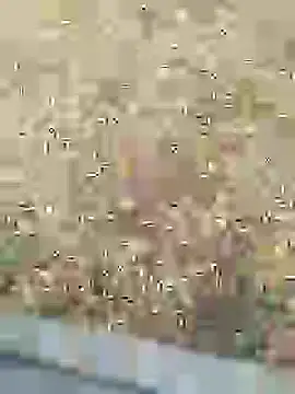 Mrveda66 online show from February 2026 11:03:01 AM