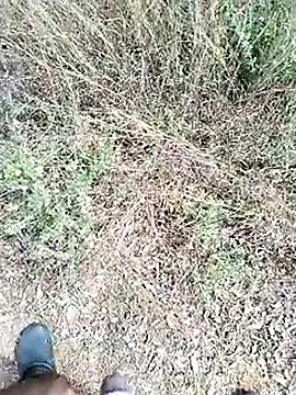 Snapshot of Mrveda66 chatting on February 2026 06:11:01 AM Mrveda66 online show from February 2026 06:11:01 AM