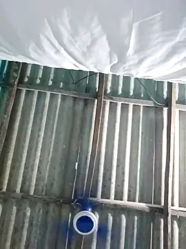 hotbaby 5 online show from October 2025 10:30:01 AM