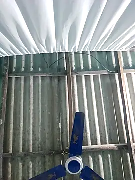 hotbaby 5 online show from November 2025 06:34:02 AM