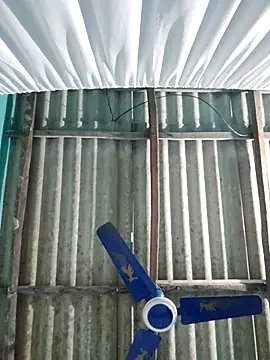 hotbaby 5 online show from November 2025 01:12:02 PM