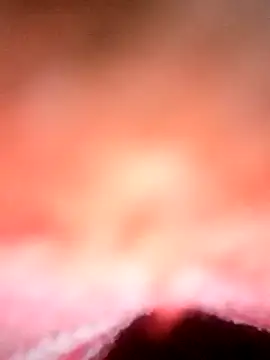 Snapshot of Avantika19 chatting on January 2025 12:13:01 PM Avantika19 online show from January 2025 12:13:01 PM