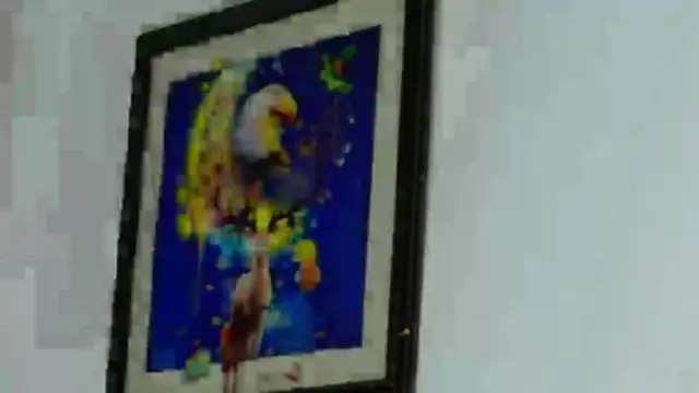 Sexy Alejandro  online show from June 2026 12:57:01 AM