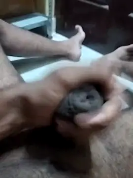 Thefatcockguy69x online show from September 2025 04:29:01 AM