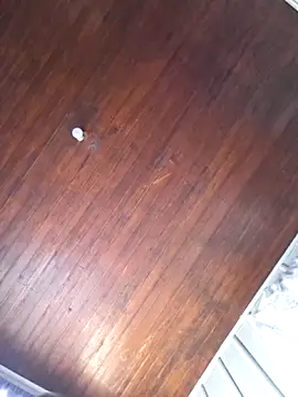 Snapshot of KAZADO_LIBERAL chatting on November 2025 03:24:01 PM KAZADO LIBERAL online show from November 2025 03:24:01 PM