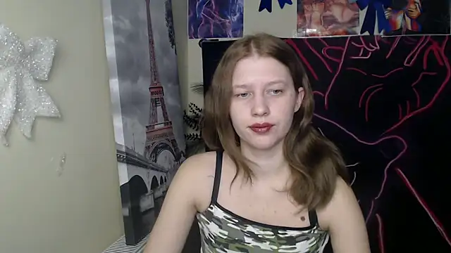 Snapshot of StellaCRL chatting on February 2026 01:11:02 PM StellaCRL online show from February 2026 01:11:02 PM