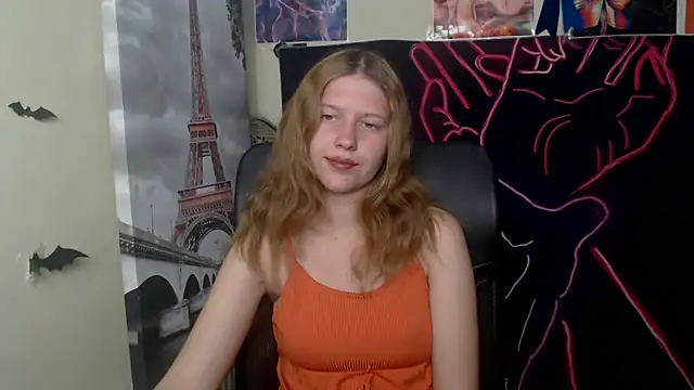 Snapshot of StellaCRL chatting on May 2026 06:13:01 PM StellaCRL online show from May 2026 06:13:01 PM