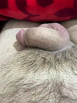 TheArabicGuyx online show from February 2026 07:45:01 PM