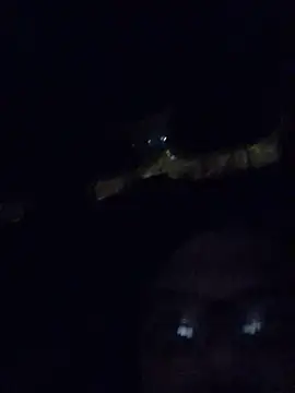 Watson4U online show from December 2024 06:27:02 PM