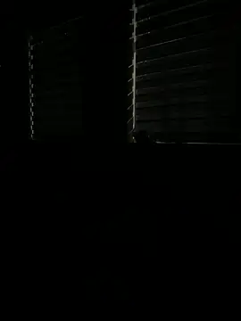 Snapshot of Rahul_sub chatting on March 2025 07:48:01 PM Rahul sub online show from March 2025 07:48:01 PM