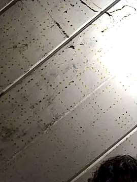 Snapshot of macg96 chatting on December 2024 07:17:02 AM macg96 online show from December 2024 07:17:02 AM