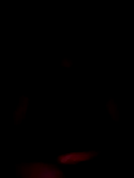 Thebryan369 online show from November 2025 10:39:02 AM