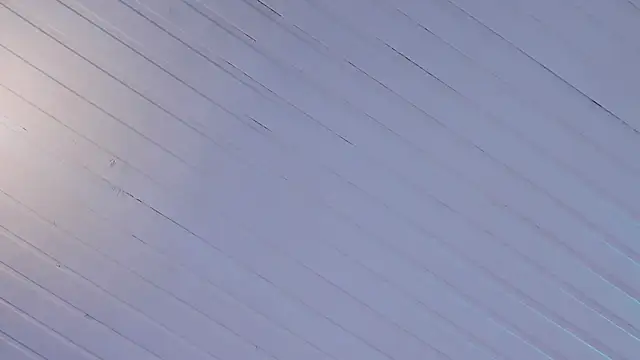 Ammy nova online show from October 2025 07:44:02 PM