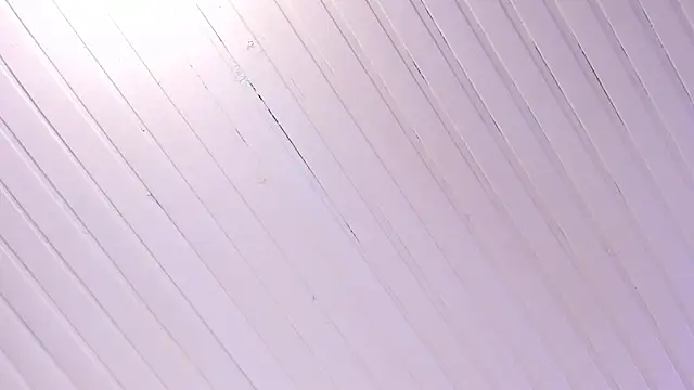 Ammy nova online show from November 2025 08:11:01 PM