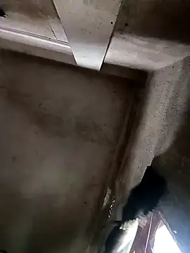 NICK IN online show from October 2025 03:52:02 AM