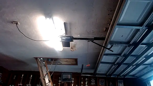 Snapshot of Buffshagswell chatting on March 2025 10:20:01 PM Buffshagswell online show from March 2025 10:20:01 PM