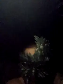 Snapshot of Buffshagswell chatting on September 2025 05:29:01 AM Buffshagswell online show from September 2025 05:29:01 AM