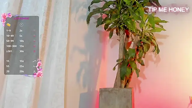 Snapshot of juanmiss chatting on February 2025 09:41:01 AM juanmiss online show from February 2025 09:41:01 AM