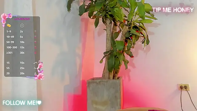 Snapshot of juanmiss chatting on February 2025 09:46:02 AM juanmiss online show from February 2025 09:46:02 AM