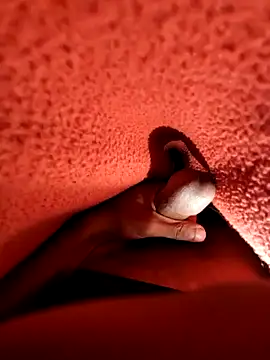 Ssdhaka11 online show from December 2024 07:13:02 PM