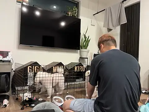 Snapshot of kensnb chatting on September 2025 08:00:02 PM kensnb online show from September 2025 08:00:02 PM