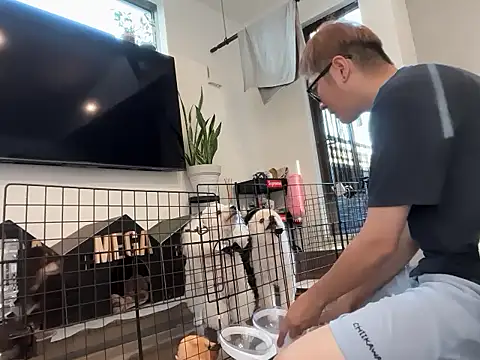 Snapshot of kensnb chatting on September 2025 10:04:01 PM kensnb online show from September 2025 10:04:01 PM