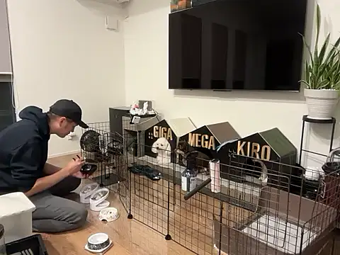 Snapshot of kensnb chatting on October 2025 09:32:01 AM kensnb online show from October 2025 09:32:01 AM