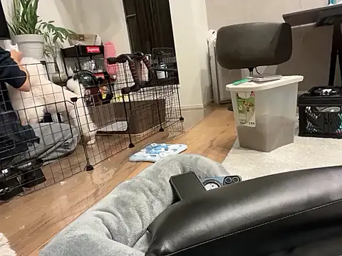 Snapshot of kensnb chatting on November 2025 09:11:02 AM kensnb online show from November 2025 09:11:02 AM