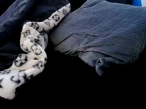 Niquitasparkles online show from December 2024 12:35:02 AM