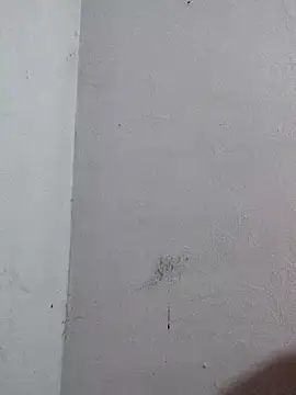 Negrocomedo online show from March 2026 01:51:02 PM