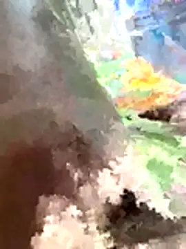 Snapshot of TalkedMarshals chatting on November 2025 05:09:02 AM TalkedMarshals online show from November 2025 05:09:02 AM