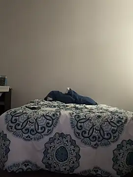 Snapshot of domoferrara chatting on February 2026 03:08:01 PM domoferrara online show from February 2026 03:08:01 PM