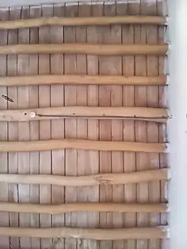 Snapshot of Atabey_65 chatting on December 2025 12:03:02 PM Atabey 65 online show from December 2025 12:03:02 PM