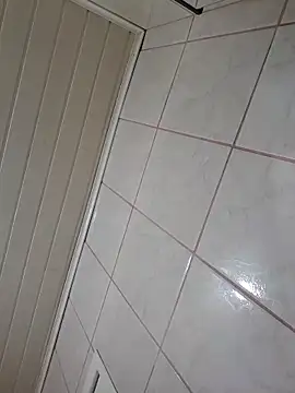 Snapshot of novdotado chatting on February 2025 08:03:02 PM novdotado online show from February 2025 08:03:02 PM